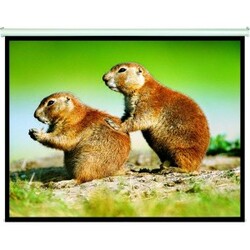 Manual Projection Screen 4:3 86 1.72×1.3m