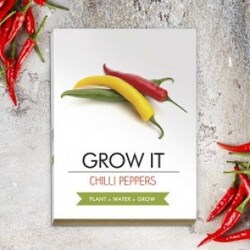 Gift Republic Grow Kit Chilli Plants – Mad