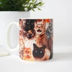 Gift Republic Mug Crazy Cat Lady – Kop